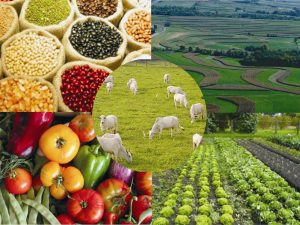 Leia mais sobre o artigo Secretaria de Estado de Agricultura, Pecuária e Abastecimento é recriada em Goiás