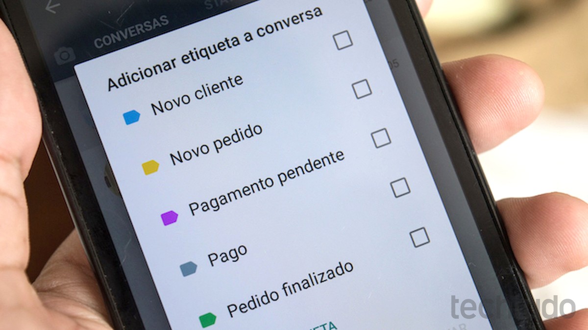 Leia mais sobre o artigo WhatsApp Business anuncia versão para iPhone