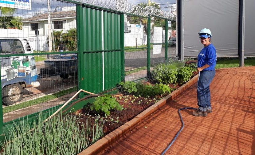 Leia mais sobre o artigo Horta em canteiro de obras atrai moradores do Vaca Brava