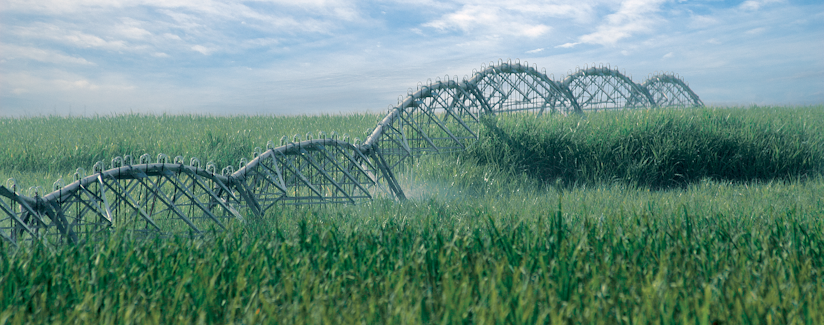 No momento você está vendo Brasil receberá tecnologia para tornar agricultura irrigada mais sustentável