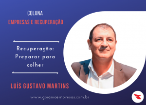 Leia mais sobre o artigo Artigo exclusivo Goiânia Empresas