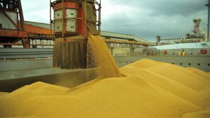 Leia mais sobre o artigo Queda na exportação de grãos compromete balança comercial goiana