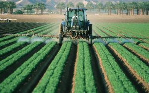 Leia mais sobre o artigo Setor agropecuário lidera a criação de empregos no mês de julho em Goiás