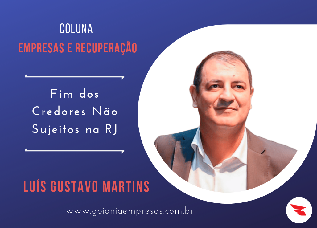 Leia mais sobre o artigo Artigo exclusivo Goiânia Empresas