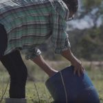 Rede Brasil do Pacto Global e BRK Ambiental lançam vídeo sobre saneamento básico