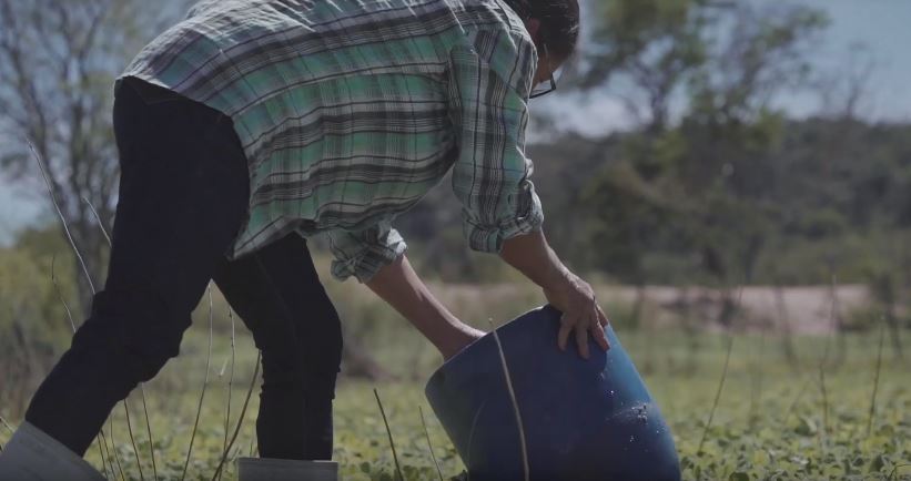 Leia mais sobre o artigo Rede Brasil do Pacto Global e BRK Ambiental lançam vídeo sobre saneamento básico