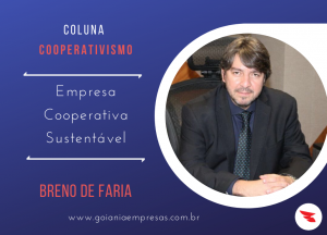 Leia mais sobre o artigo Empresa cooperativa sustentável