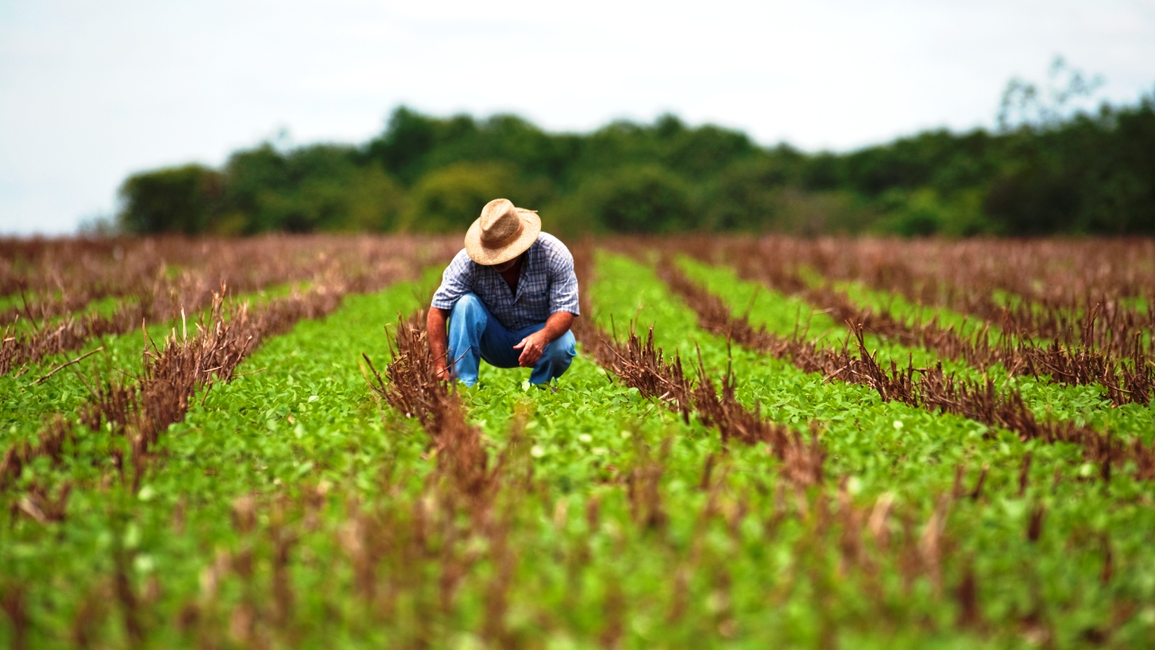 No momento você está vendo Cortes na arrecadação do Senar prejudicam produtores rurais