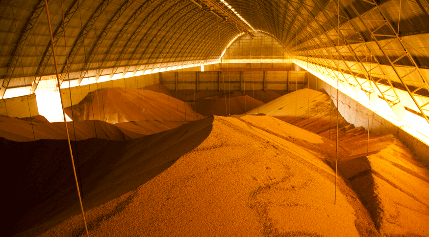 No momento você está vendo Produção goiana de grãos é a maior da história