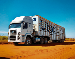 Leia mais sobre o artigo Goiás é um dos primeiros estados a receber UBOI, primeiro app brasileiro de transporte de gado