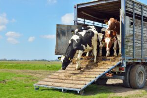 Leia mais sobre o artigo Faeg entra com ação direta de inconstitucionalidade em prol do produtor rural