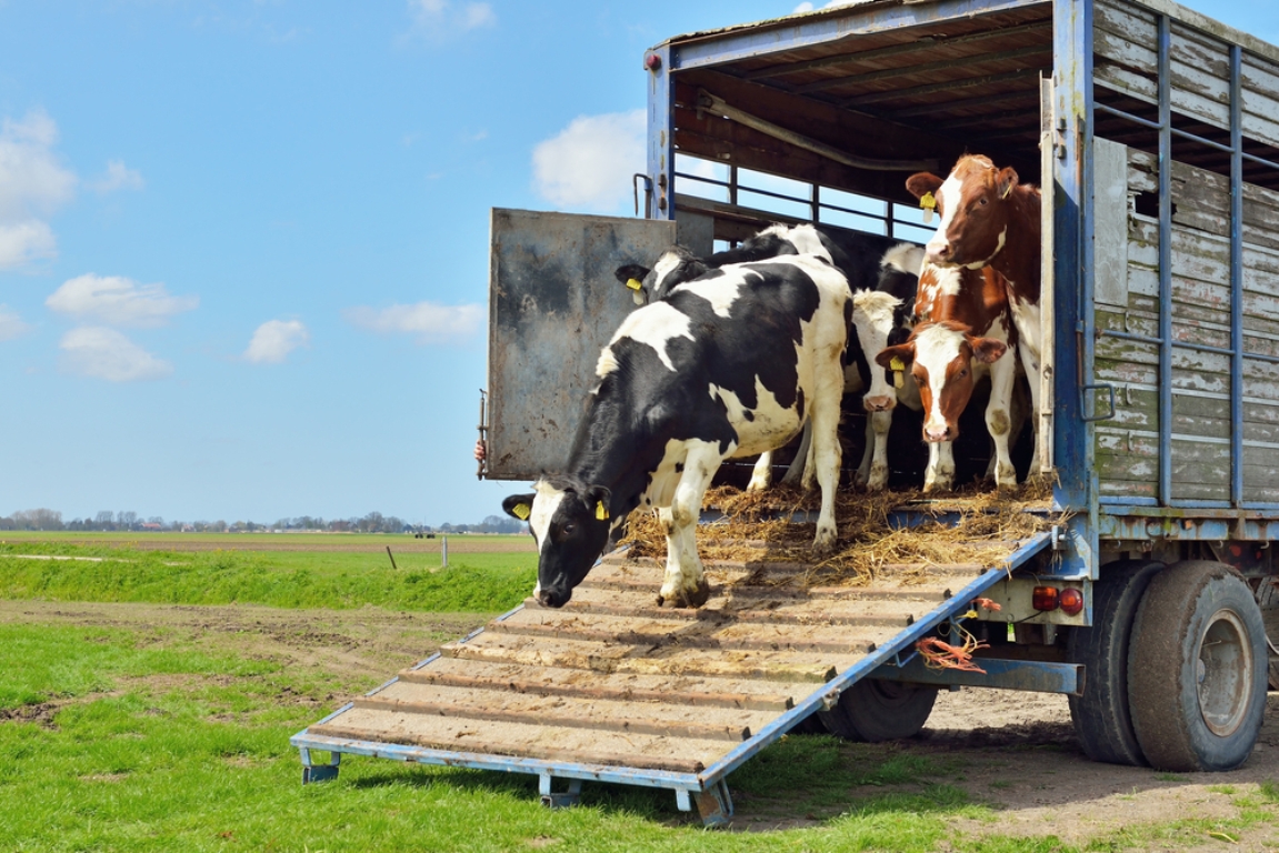 No momento você está vendo Faeg entra com ação direta de inconstitucionalidade em prol do produtor rural