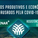 Estudo do Senar Goiás mostra impactos da Covid-19 no campo