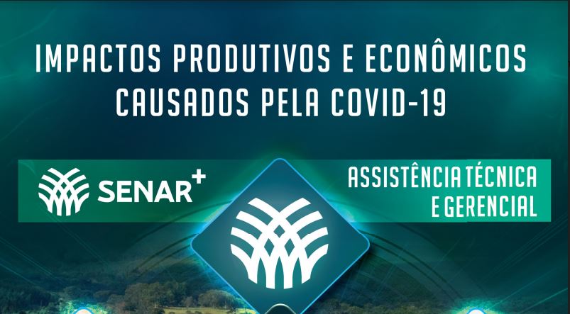 Leia mais sobre o artigo Estudo do Senar Goiás mostra impactos da Covid-19 no campo