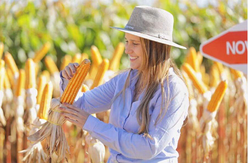 Leia mais sobre o artigo Sistema Faeg Senar e parceiros buscam formar novas lideranças do agro