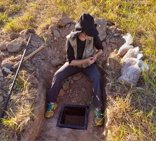 Leia mais sobre o artigo Fertilizante natural é trunfo econômico para atividade agropecuária de Goiás