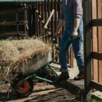 Talentos do Campo: Senar Goiás mostra detalhes de nova plataforma de empregabilidade