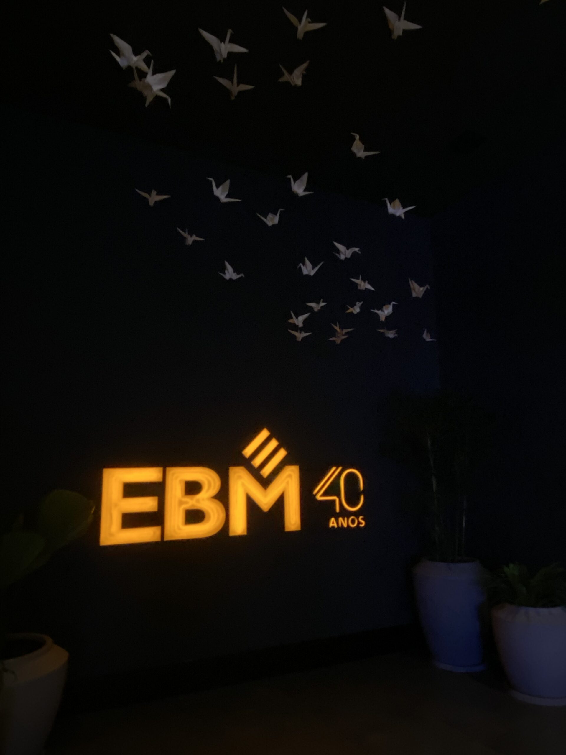 Leia mais sobre o artigo EBM celebra 40 anos com participação na CasaCor Goiás 2021