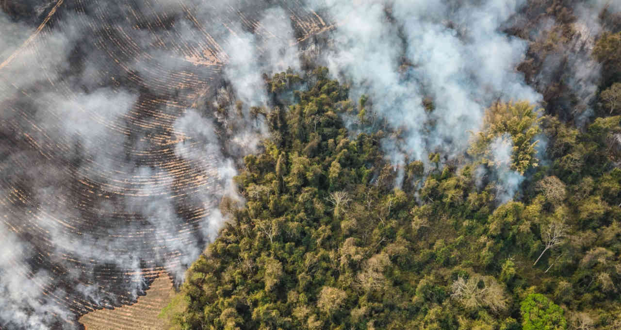 Você está visualizando atualmente Safras arruinadas no Brasil alimentam inflação global