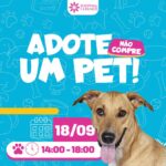 Shopping Cerrado e Grupo Miau Auau promovem Tarde de Adoção de cães e gatos