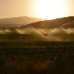 A crise hídrica e seus impactos para o agronegócio