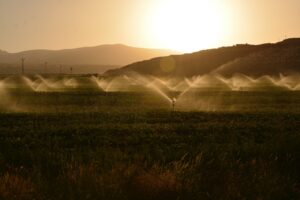 Leia mais sobre o artigo A crise hídrica e seus impactos para o agronegócio