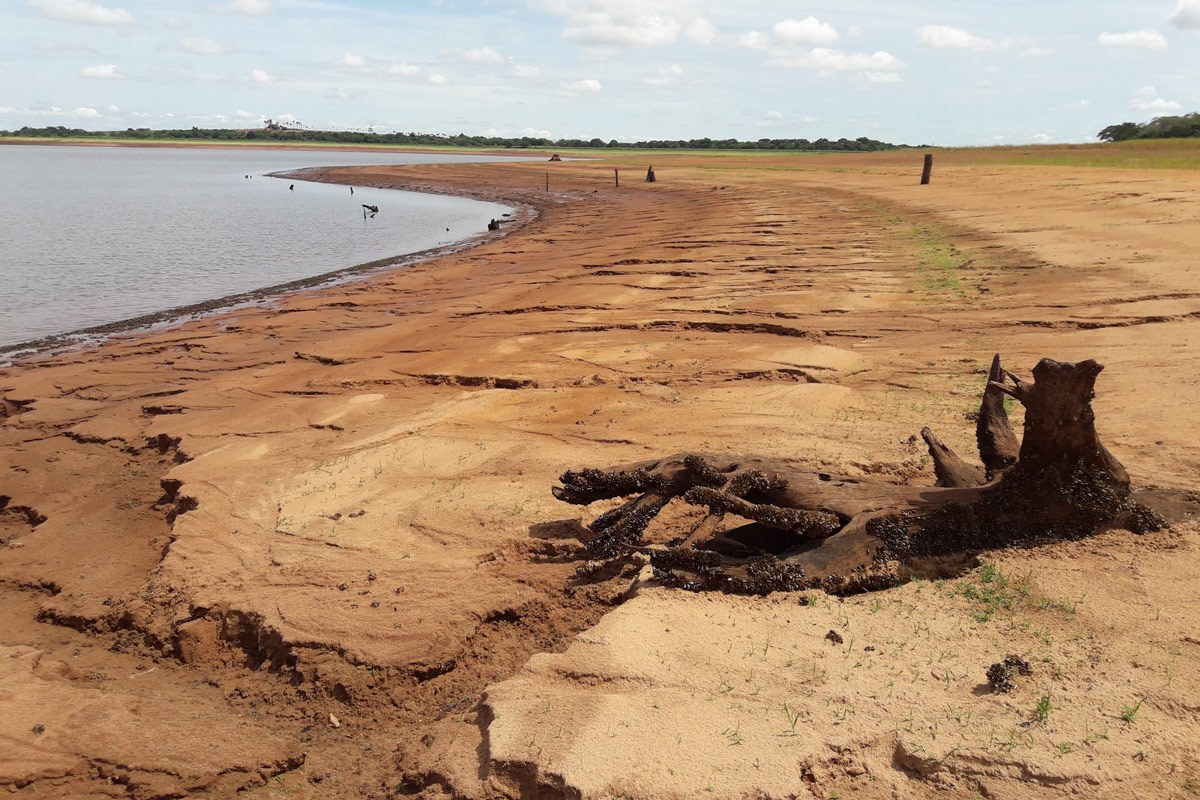 Leia mais sobre o artigo Os impactos da estiagem e das altas temperaturas para o agronegócio