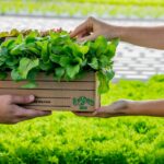 BeGreen: Passeio das Águas Shopping terá a primeira fazenda urbana do Centro-Oeste