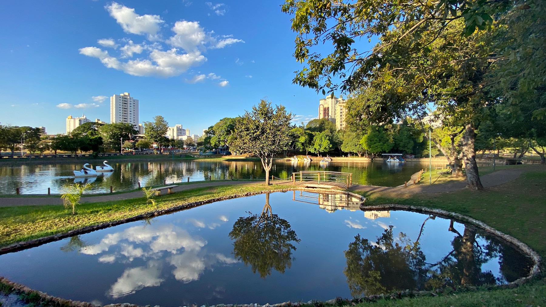 Leia mais sobre o artigo Brasal Incorporações realiza caminhada ecológica no Parque Lago das Rosas