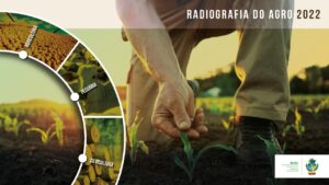 Leia mais sobre o artigo Radiografia do Agro oferece panorama de 47 cadeias produtivas do agronegócio goiano