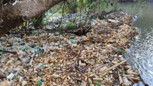 Leia mais sobre o artigo Com retirada de lixo, OCB/GO realiza educação ambiental no Meia Ponte