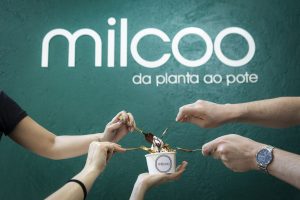 Leia mais sobre o artigo Milcoo chega ao mercado goiano com iogurtes e sorvetes à base de coco