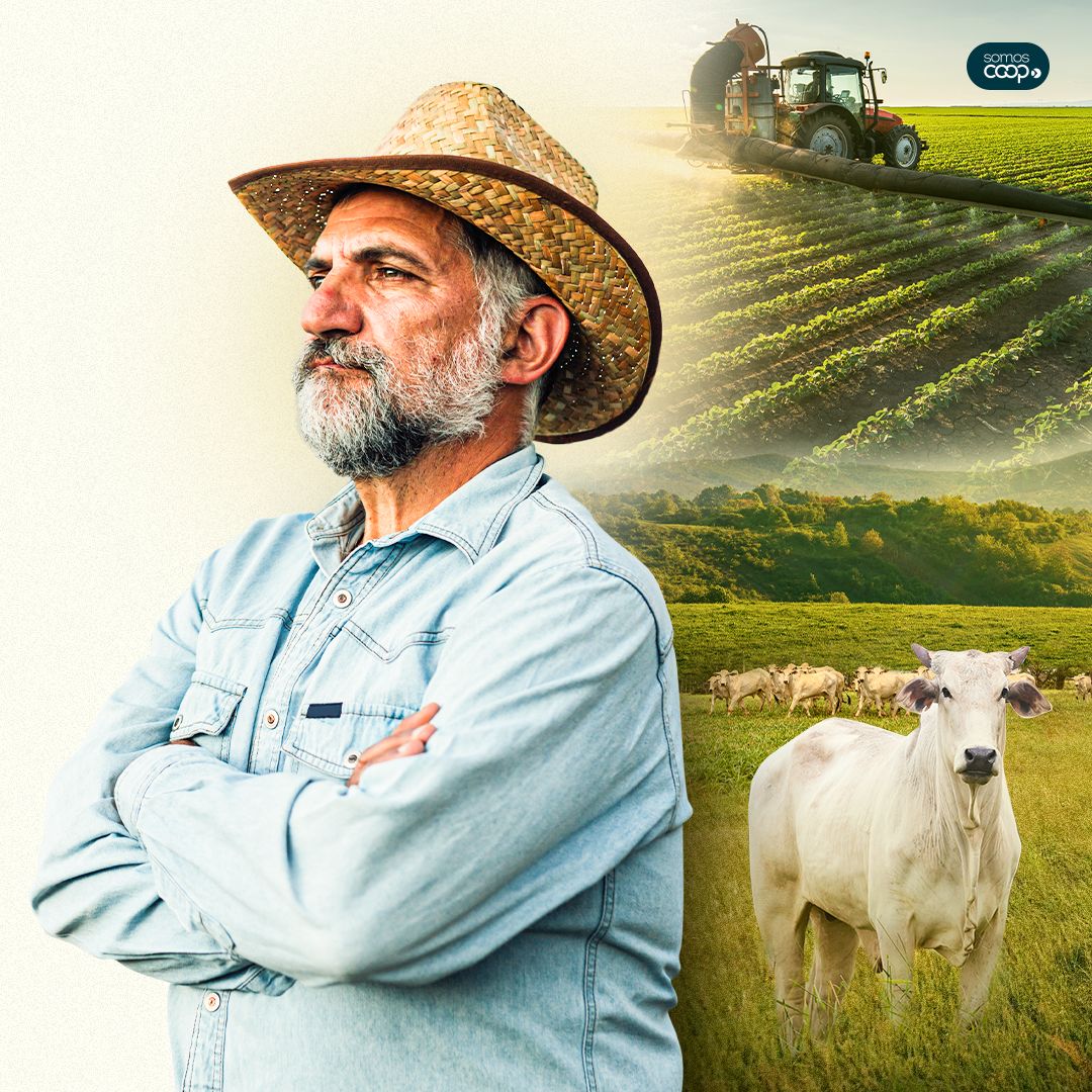 No momento você está vendo Liberação de crédito rural para comercialização movimenta agro goiano