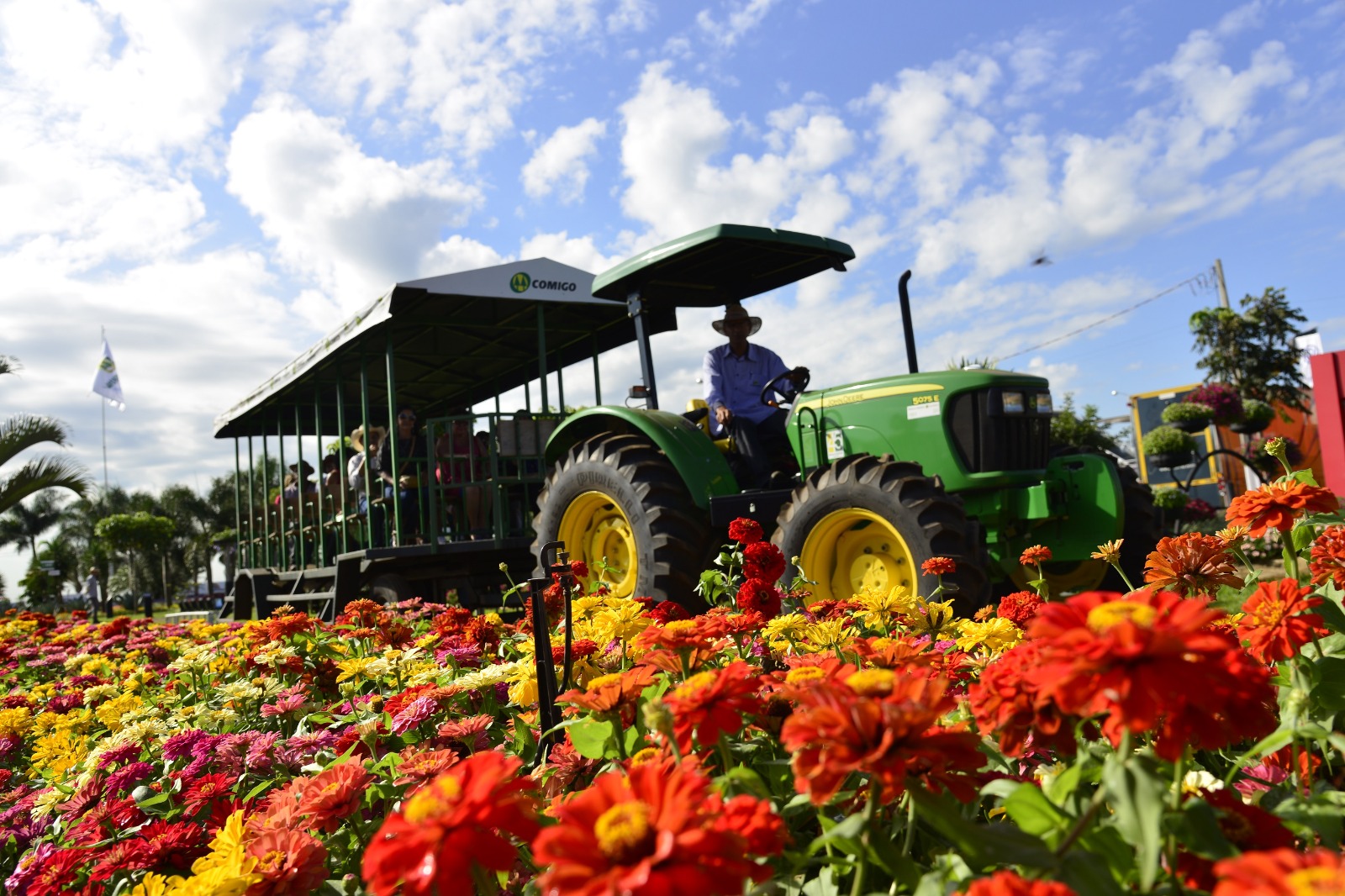 Leia mais sobre o artigo 70 mil mudas de flores e plantas variadas vão compor o paisagismo da Tecnoshow Comigo