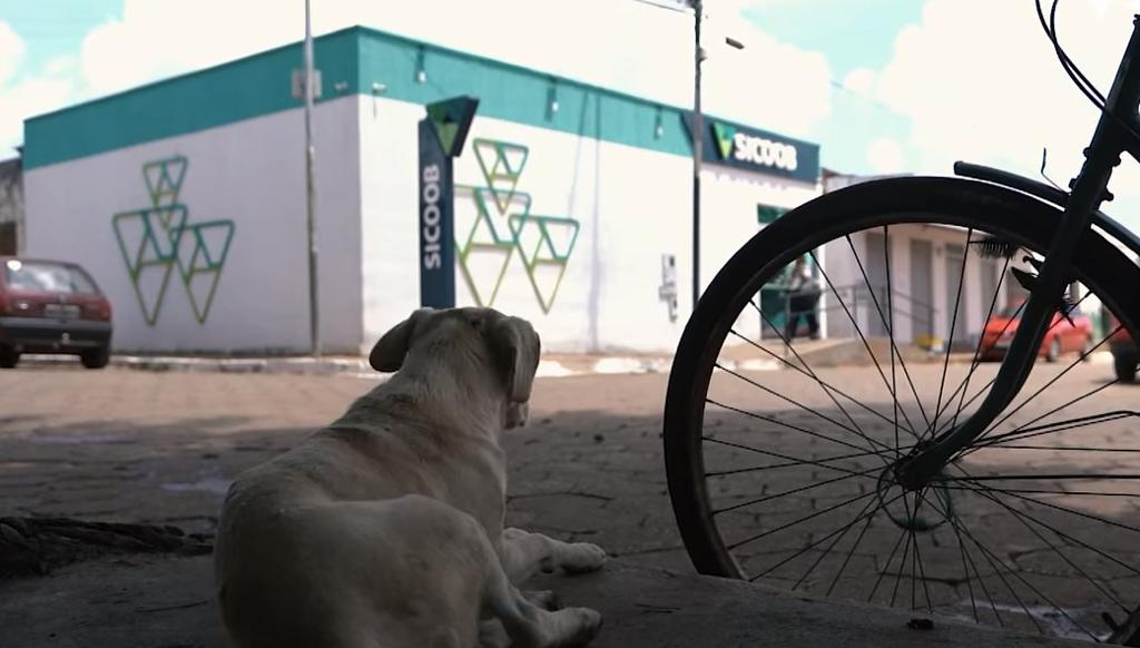 No momento você está vendo Chegada do Sicoob UniCentro Norte Brasileiro impulsiona Santa Rosa de Goiás