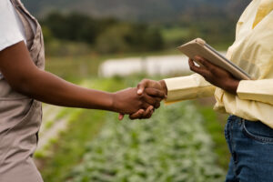 Leia mais sobre o artigo Cooperativas agrícolas e pecuárias: Uma solução para enfrentar a crise no agronegócio