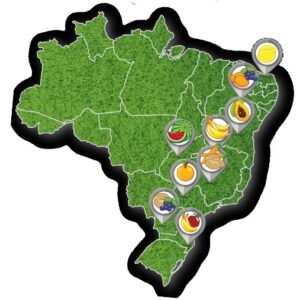 Leia mais sobre o artigo Indicação Geográfica: Produtos regionais do agro podem ganhar o Mercosul