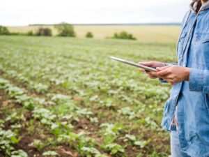 Leia mais sobre o artigo Financiamentos privados ao agronegócio disparam