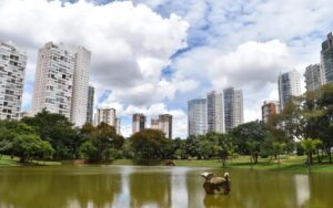 Leia mais sobre o artigo Goiânia lidera ranking de capitais com alta nos preços do metro quadrado