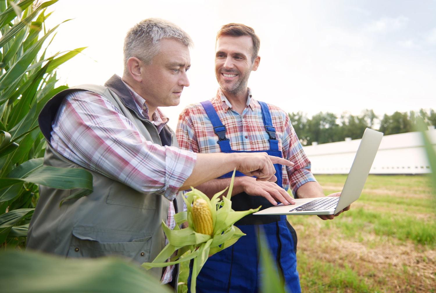 Você está visualizando atualmente O equilíbrio contratual e a reestruturação de contratos no agro