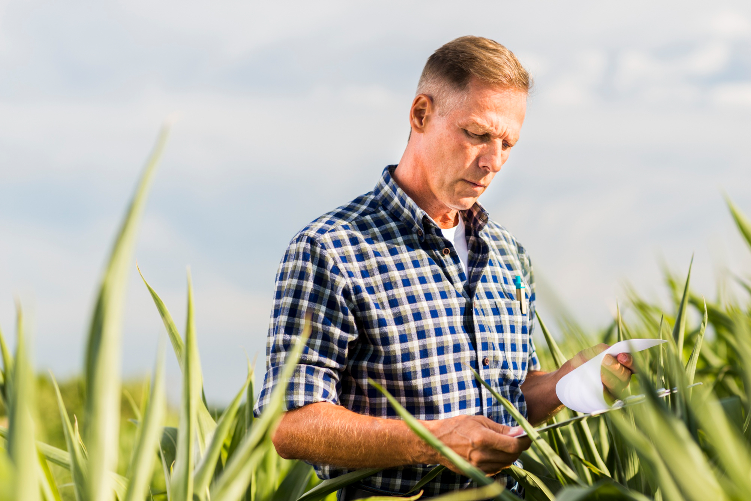 Leia mais sobre o artigo Produtor rural endividado, cuidado com o gerente do seu banco