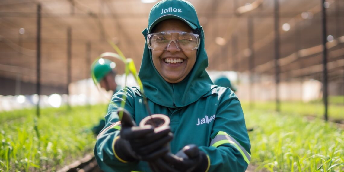 No momento você está vendo Jalles, companhia do setor sucroenergético, é uma das usinas com mais mulheres