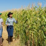 Igualdade feminina no agro: mulheres contam suas experiências em cargos de liderança