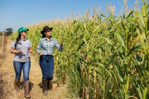 Leia mais sobre o artigo Igualdade feminina no agro: mulheres contam suas experiências em cargos de liderança