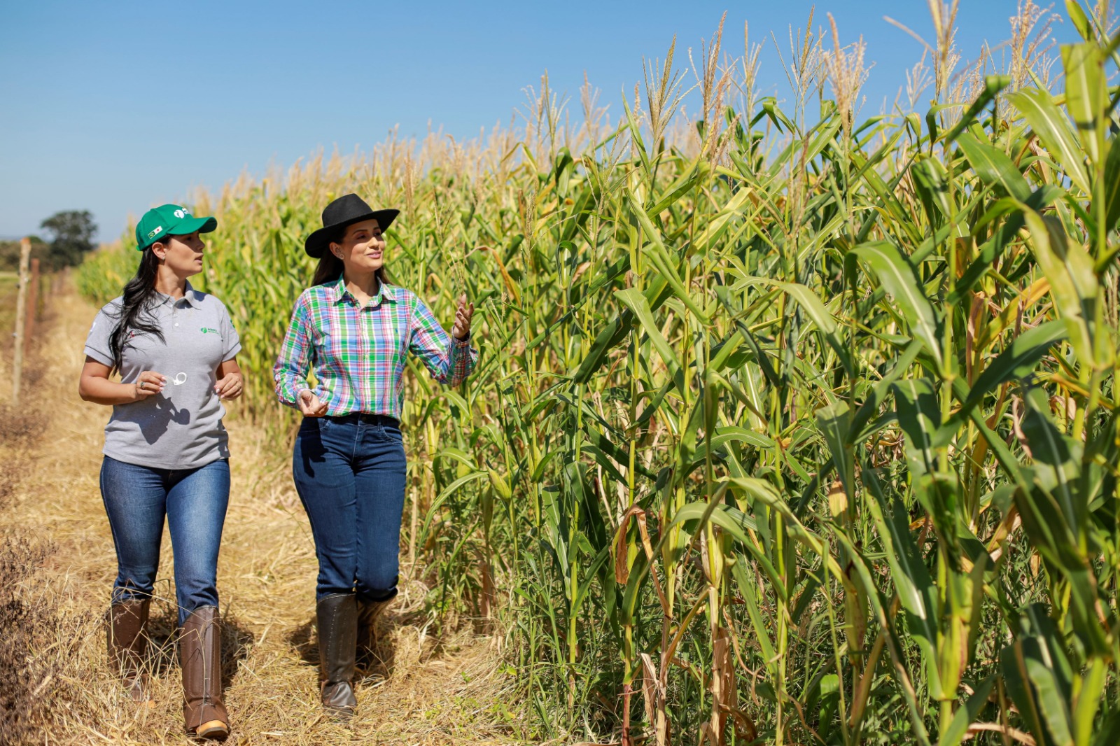 Leia mais sobre o artigo Igualdade feminina no agro: mulheres contam suas experiências em cargos de liderança