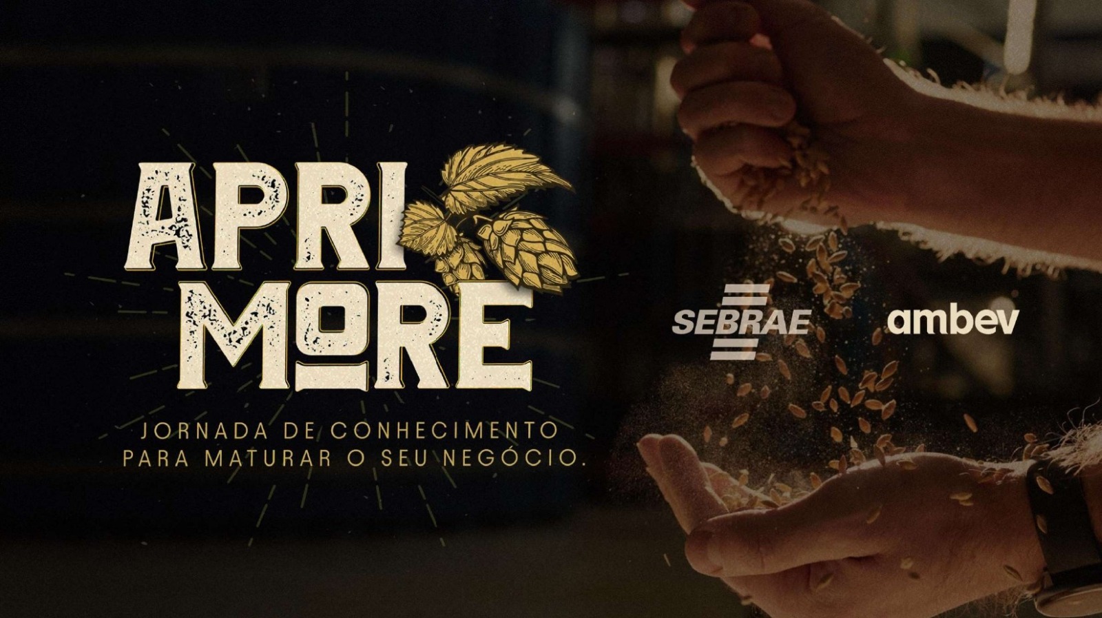 No momento você está vendo Sebrae e Ambev lançam programa para cervejarias artesanais em Goiás